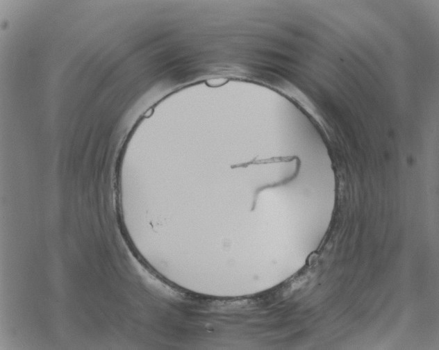 X0000067951143200605112119