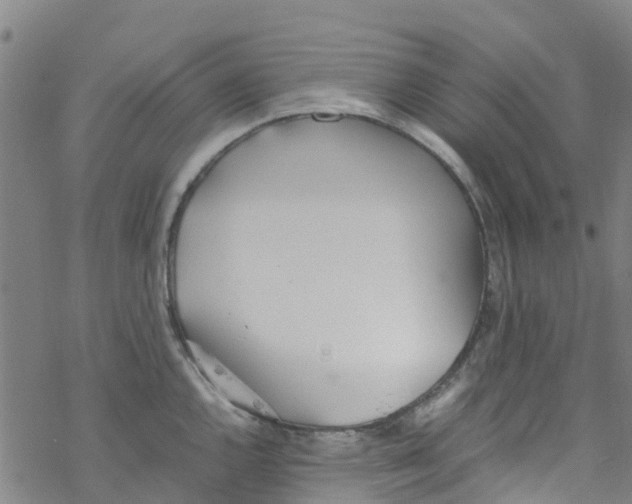 X0000067951144200605112119