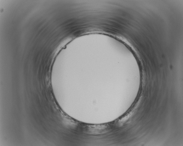 X0000067951145200605112119