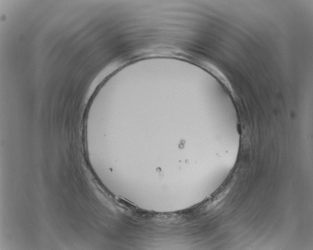 X0000067951146200605112119