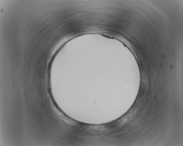 X0000067951147200605112119