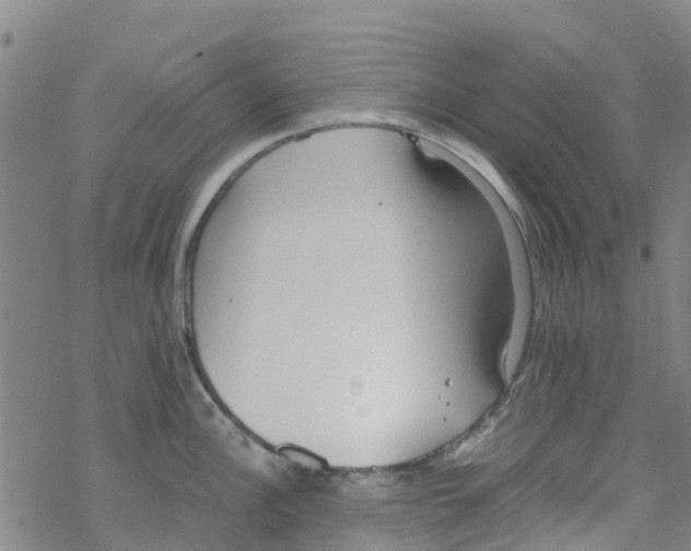 X0000067951148200605112119