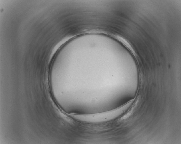 X0000067951149200605112119