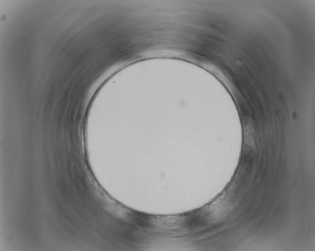 X0000067951150200605112119