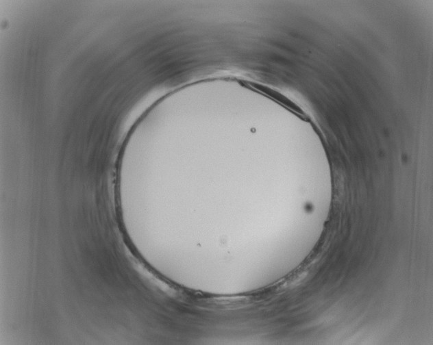 X0000067951151200605112119