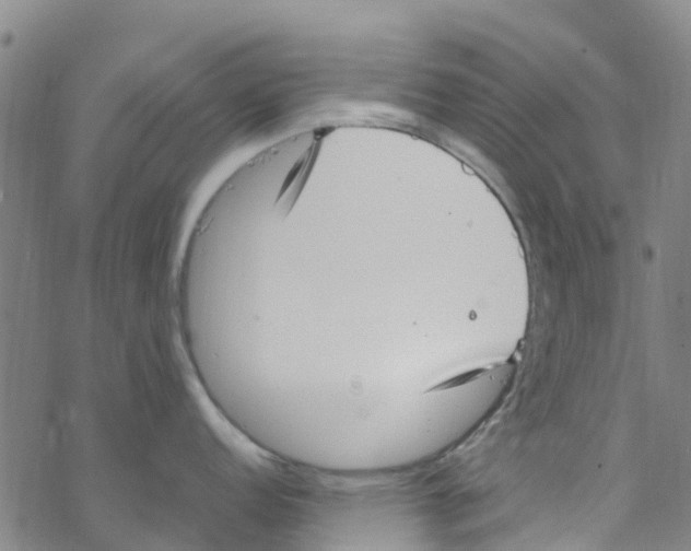 X0000067951152200605112119