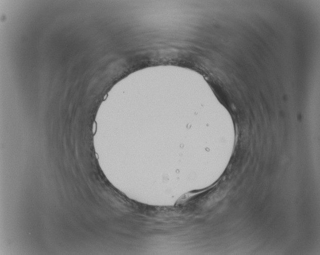 X0000067951153200605112118