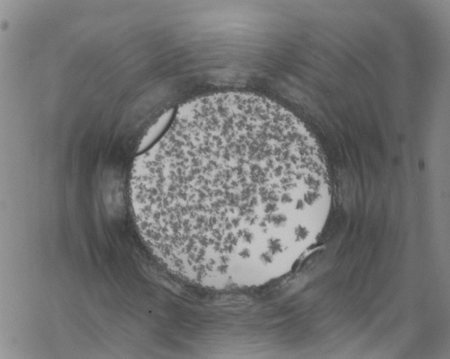 X0000067951154200605112118