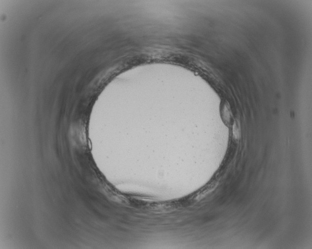 X0000067951155200605112118