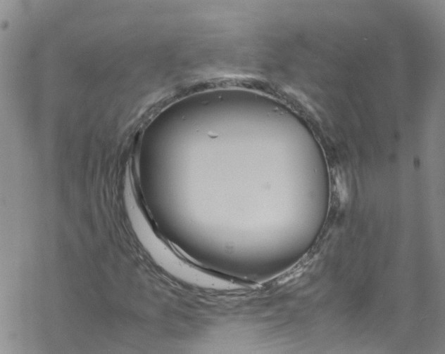 X0000067951157200605112118