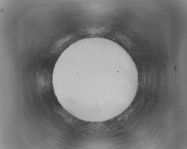 X0000067951158200605112118