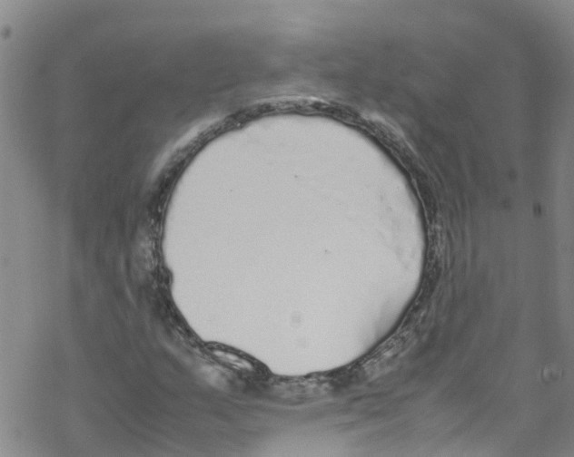 X0000067951159200605112118