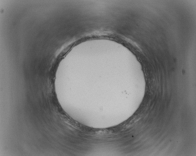 X0000067951160200605112118