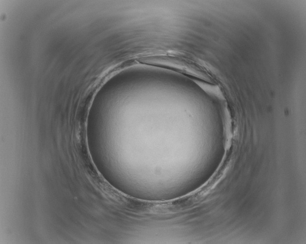 X0000067951161200605112118