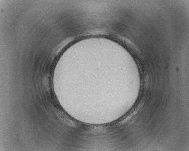 X0000067951162200605112118