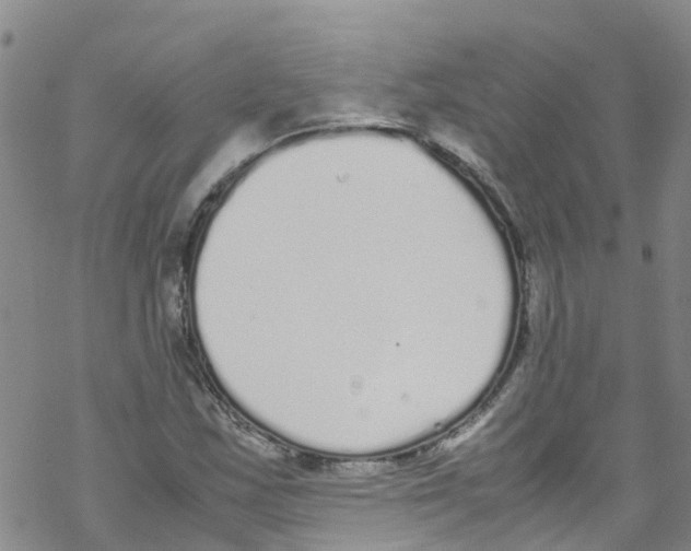 X0000067951163200605112118