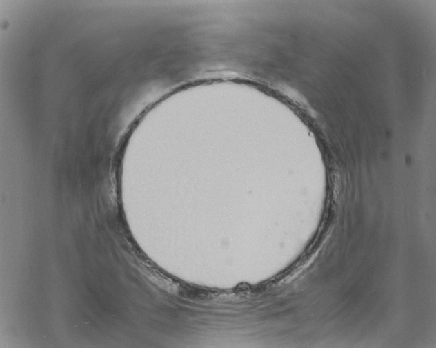 X0000067951167200605112118