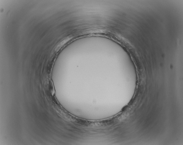 X0000067951169200605112118