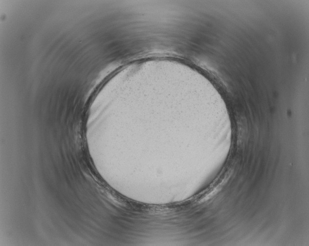 X0000067951170200605112118