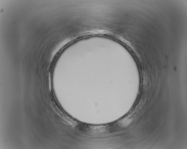 X0000067951171200605112118