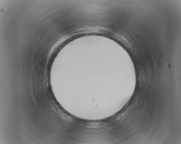 X0000067951172200605112118