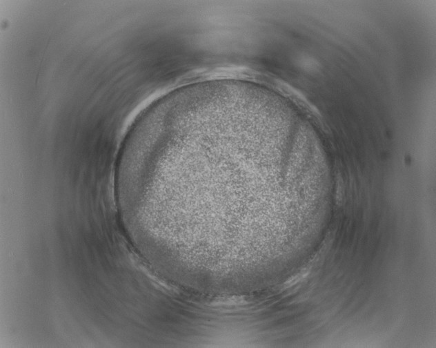 X0000067951174200605112118