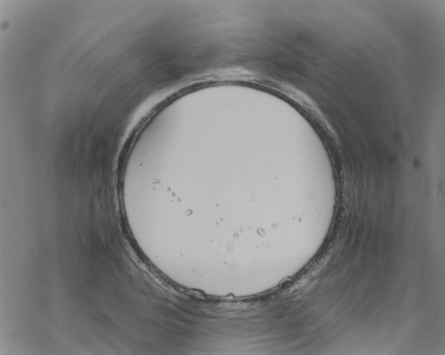 X0000067951176200605112118