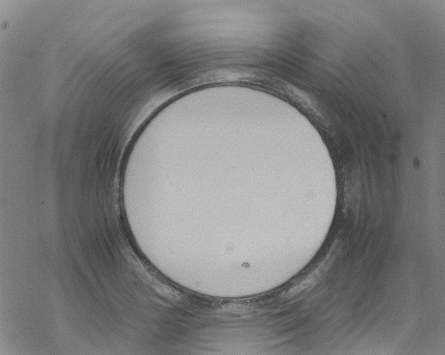 X0000067951178200605112118