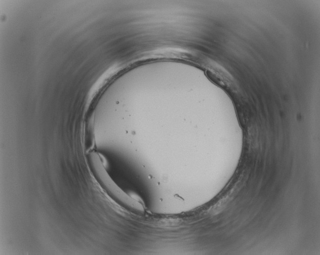 X0000067951180200605112117