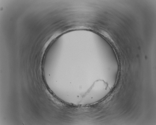 X0000067951181200605112117