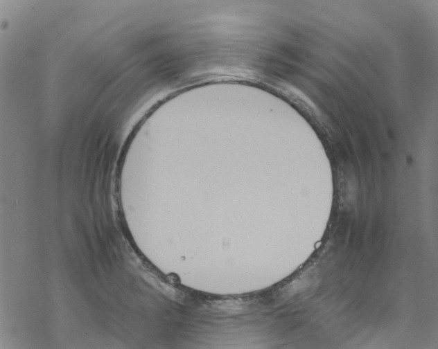 X0000067951182200605112117