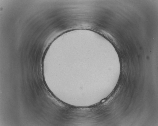 X0000067951184200605112117