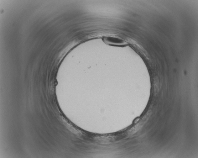 X0000067951185200605112117