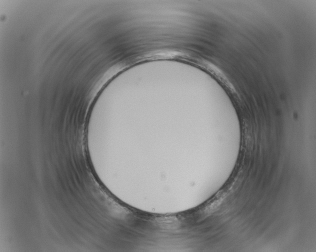 X0000067951186200605112117