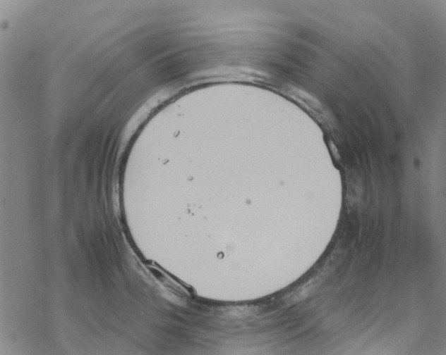 X0000067951188200605112117