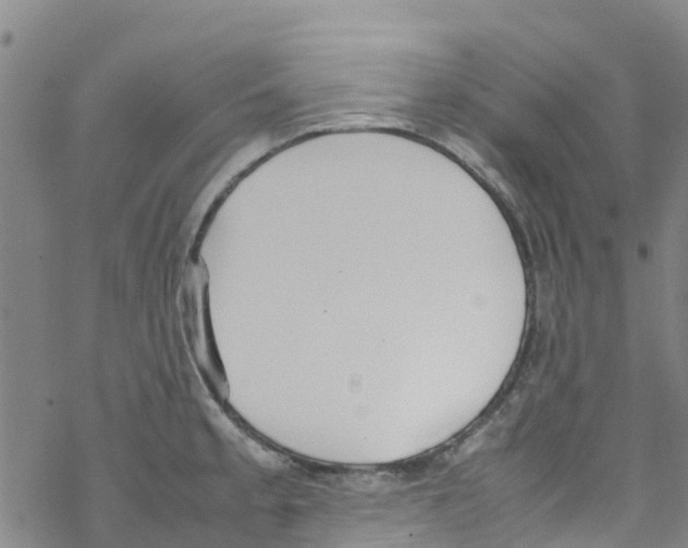 X0000067951189200605112117