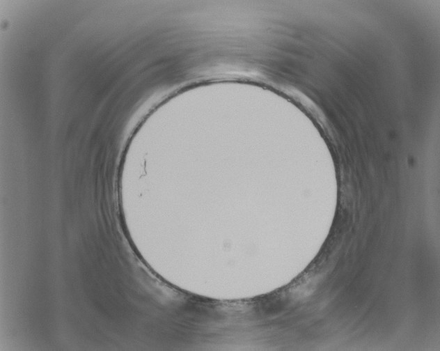 X0000067951191200605112117