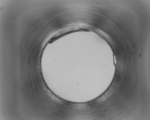 X0000067951192200605112117