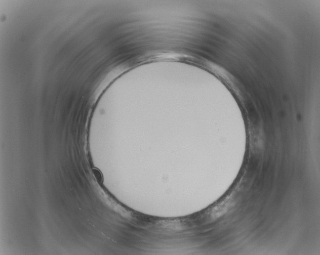 X0000067951194200605112117