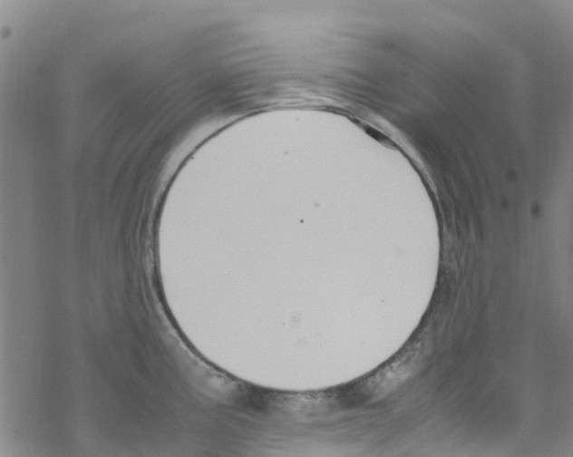 X0000067951195200605112117