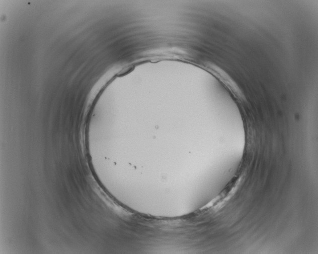 X0000067951196200605112117