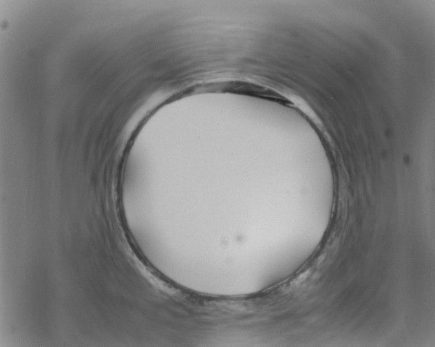 X0000067951197200605112117