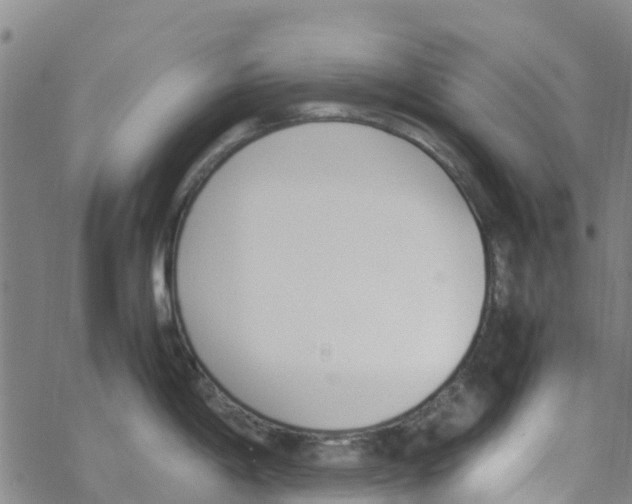 X0000067951198200605112117