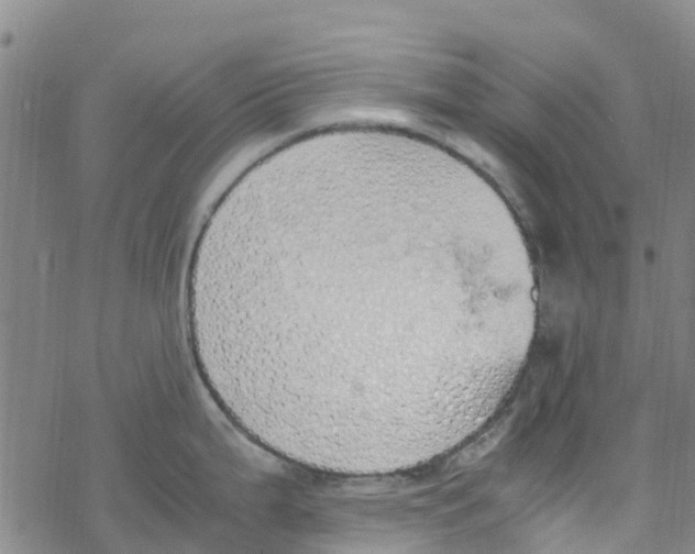 X0000067951199200605112117