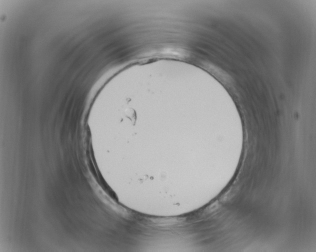 X0000067951200200605112117