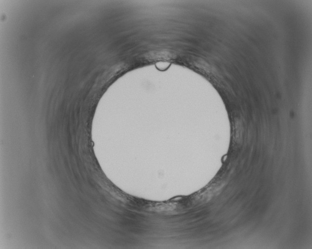 X0000067951201200605112116