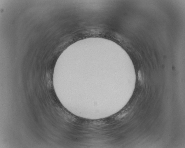 X0000067951203200605112116