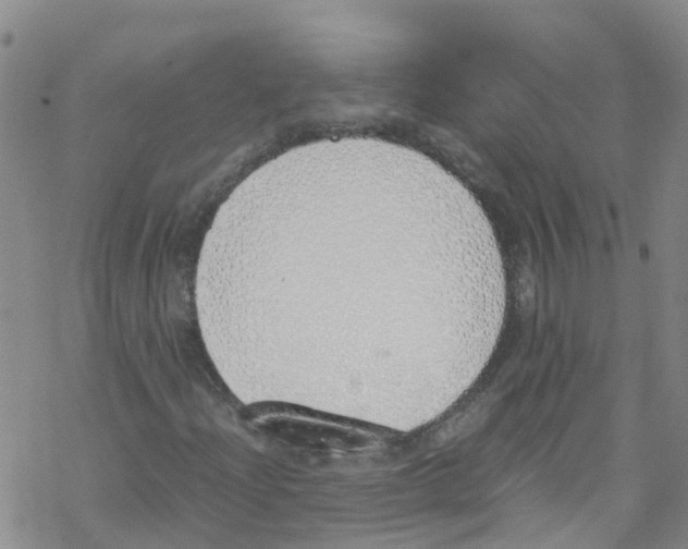 X0000067951204200605112116