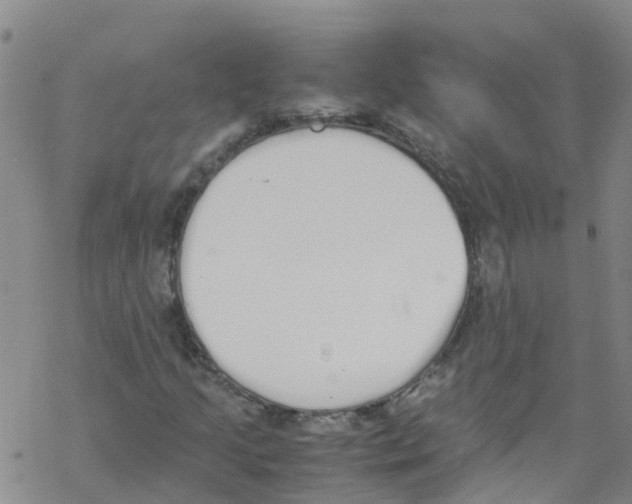 X0000067951205200605112116