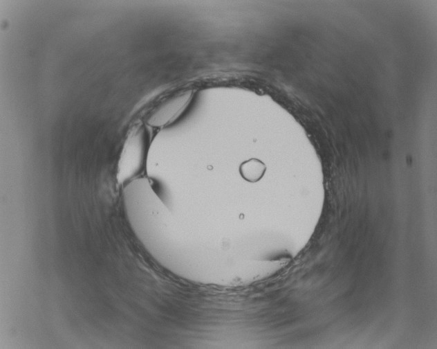 X0000067951206200605112116